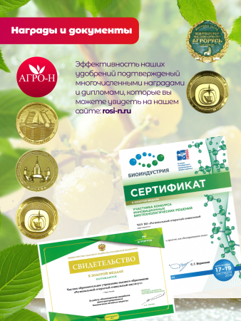 Удобрение для чеснока для осеннего внесения под посадку