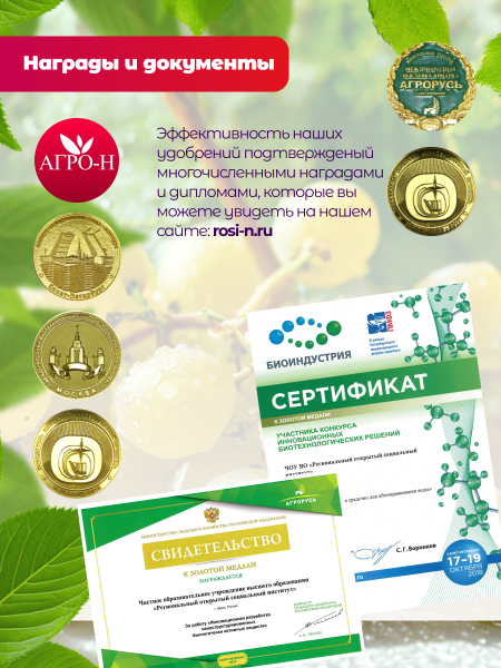 Удобрение для чеснока для осеннего внесения под посадку