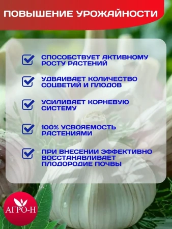 Удобрение для чеснока для осеннего внесения под посадку