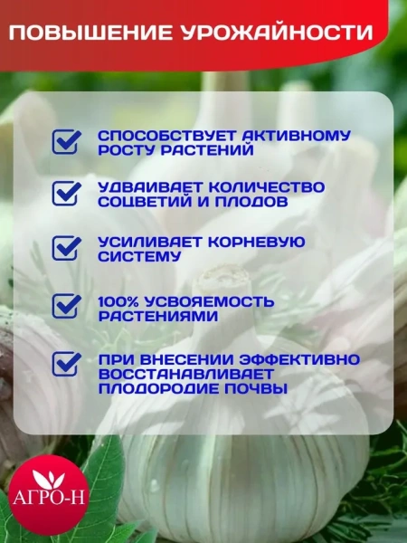 Удобрение для чеснока для осеннего внесения под посадку